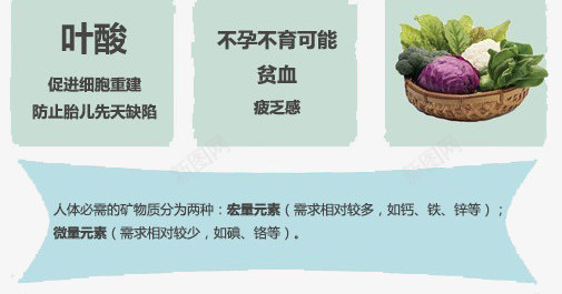 维生素简介与缺乏症状png免抠素材_新图网 https://ixintu.com 健康 维生素 食品