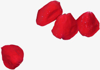 红色浪漫玫瑰花瓣素材