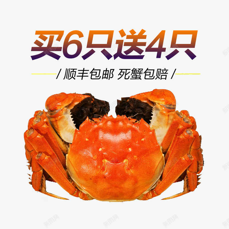 买6只送4只png免抠素材_新图网 https://ixintu.com 促销 海产品 美食 螃蟹