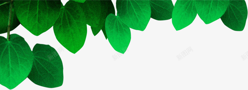 绿色春天风光树叶季节png免抠素材_新图网 https://ixintu.com 季节 春天 树叶 绿色 设计 风光