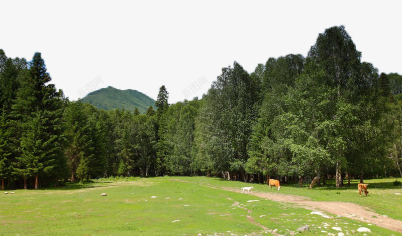 新疆旅游风景二png免抠素材_新图网 https://ixintu.com 中国新疆 新疆旅游 美丽风光 著名风景