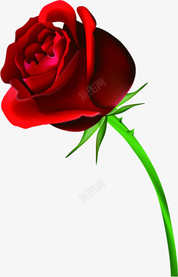 红色鲜花玫瑰植物装饰png免抠素材_新图网 https://ixintu.com 植物 玫瑰 红色 装饰 鲜花