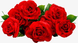 情人节红色玫瑰绿叶搭配素材