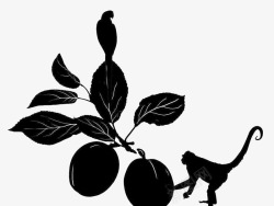 黑色的桃子猴子剪影高清图片
