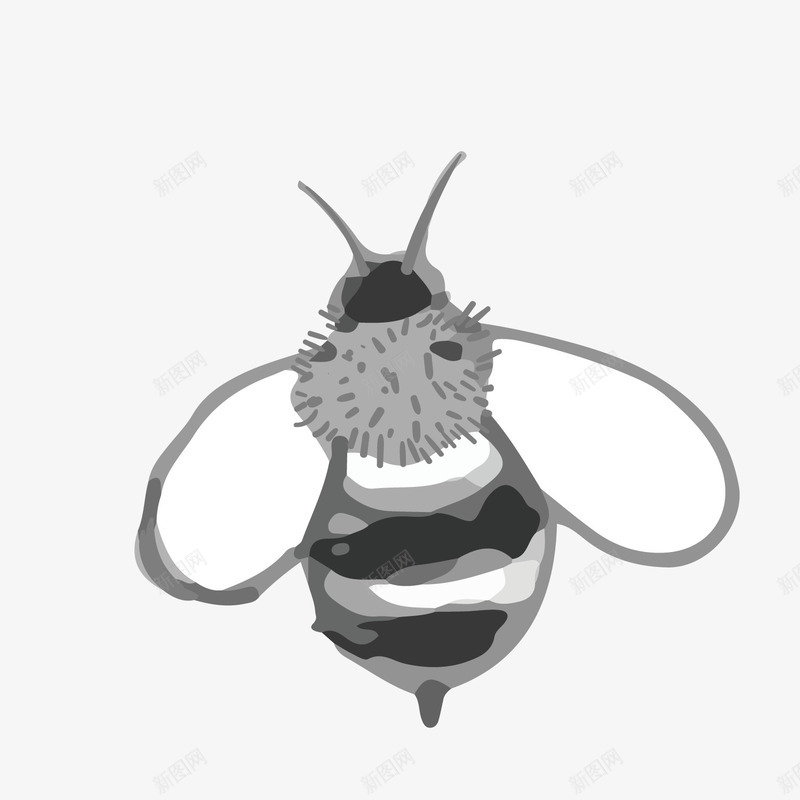 黑白可爱小蜜蜂手绘矢量图eps免抠素材_新图网 https://ixintu.com 可爱 矢量可爱 矢量图 蜜蜂 黄色 黑白 黑白可爱