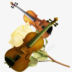 美丽的红木簪子实物红木小提琴高清图片