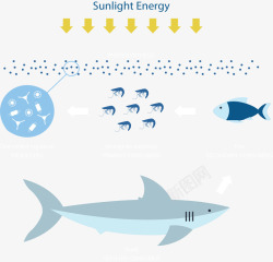 海洋世界生态循环矢量图素材