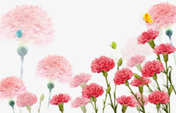 母亲的节日康乃馨花丛高清图片