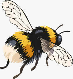 精美的蜜蜂手绘蜜蜂高清图片