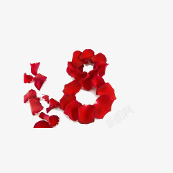 红玫瑰数字8素材