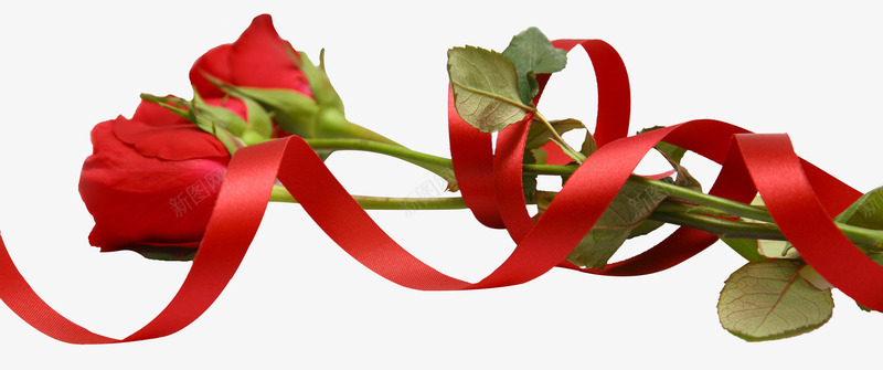 红色玫瑰花装饰图案png免抠素材_新图网 https://ixintu.com PNG 情人节 玫瑰花 红色 装饰图案
