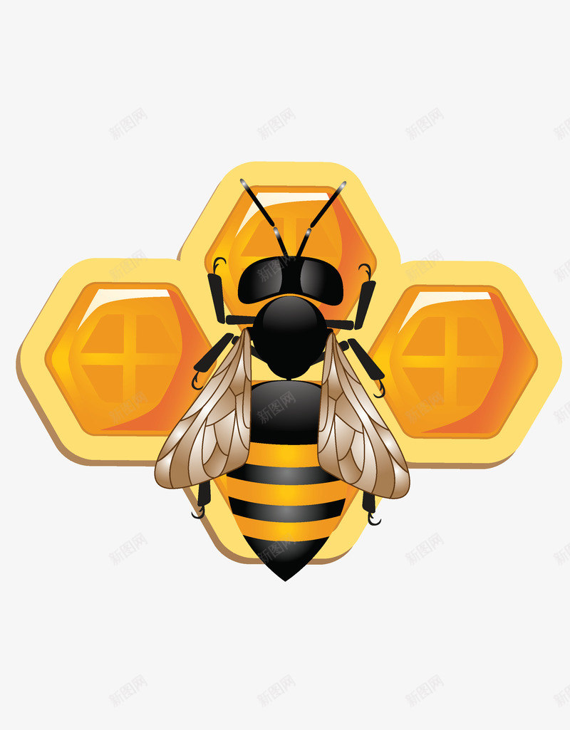 可爱的3D蜜蜂和蜂窝png免抠素材_新图网 https://ixintu.com D蜜蜂 可爱 蜂窝 蜜蜂窝