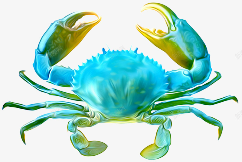 蓝色螃蟹png免抠素材_新图网 https://ixintu.com 手绘 蓝色 螃蟹 蟹钳