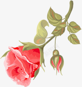 创意合成水彩红色的玫瑰花png免抠素材_新图网 https://ixintu.com 创意 合成 水彩 玫瑰花 红色
