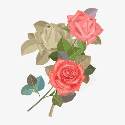 手绘玫瑰花花束素材