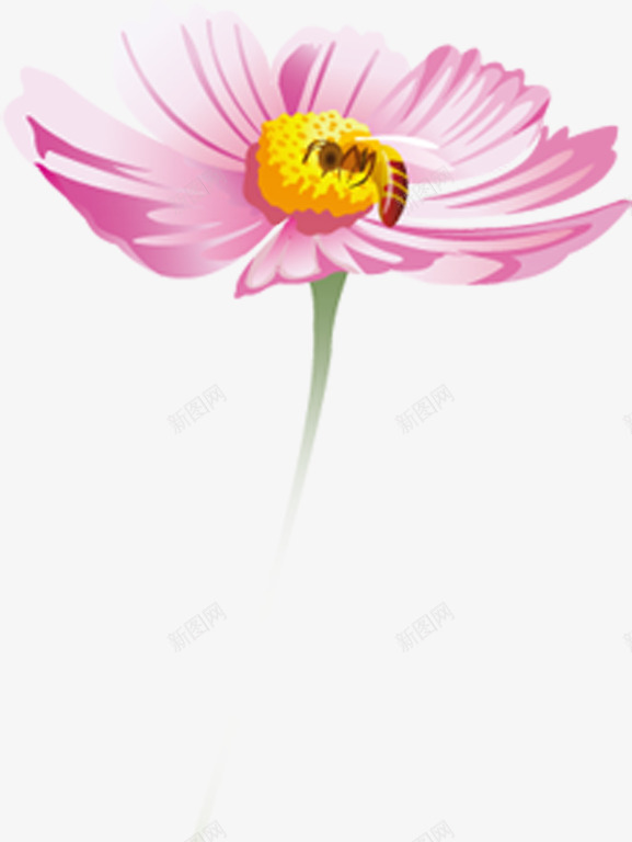 粉色手绘花朵蜜蜂采蜜png免抠素材_新图网 https://ixintu.com 粉色 花朵 蜜蜂 设计