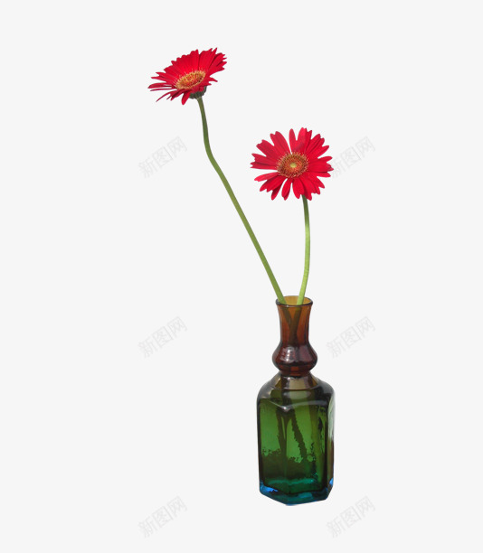 金盏花插花png免抠素材_新图网 https://ixintu.com 优雅 居家 插花 红色