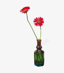 金盏花插花素材
