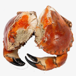 熟螃蟹切开的螃蟹图案高清图片