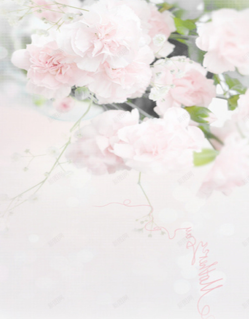 白色手绘花朵美景母亲节装饰png免抠素材_新图网 https://ixintu.com 母亲节 白色 美景 花朵 装饰