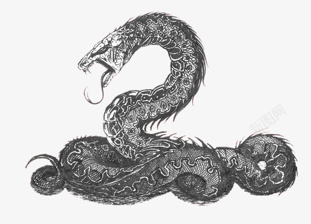 手绘巨蛇png免抠素材_新图网 https://ixintu.com 恐怖 手绘 毒蛇 爬行动物 蟒蛇