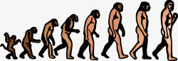 人猿人类祖先高清图片