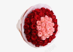 红玫瑰粉玫瑰花束素材