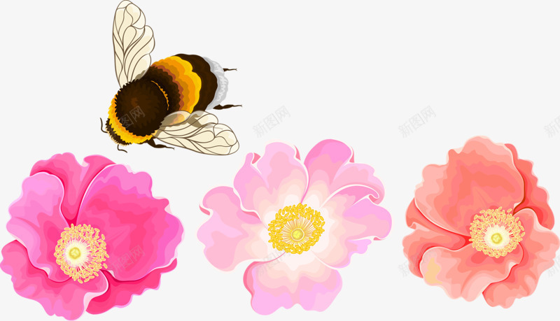 三只花朵红色花蜜蜂png免抠素材_新图网 https://ixintu.com 三只 红色 花朵 蜜蜂