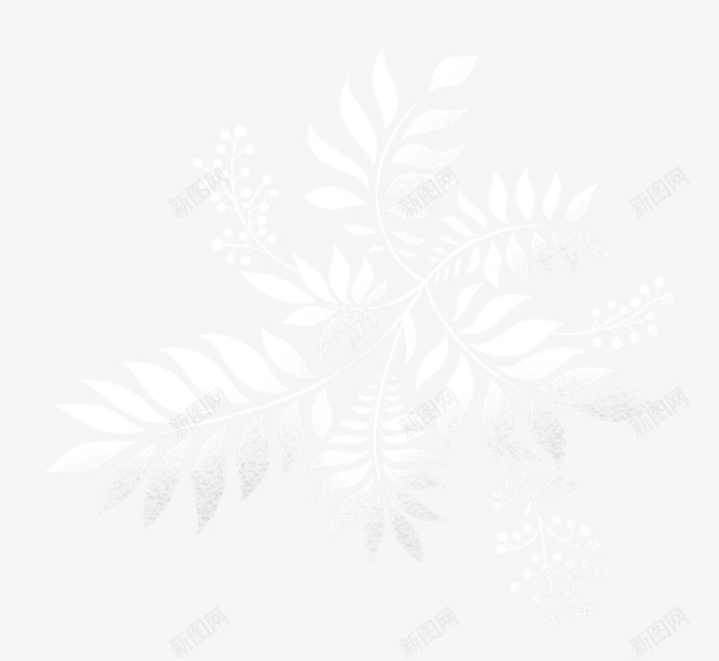 漂亮白色枝叶png免抠素材_新图网 https://ixintu.com 枝叶 漂亮枝叶 白色枝叶
