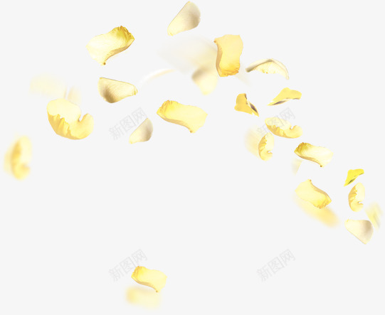 弧形排布的金黄色树叶png免抠素材_新图网 https://ixintu.com 弧形 树叶 金黄色