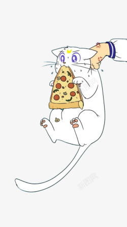 吃披萨的猫素材
