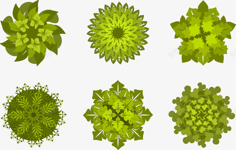 花盆俯视图png免抠素材_新图网 https://ixintu.com 俯视图 绿色 花盆