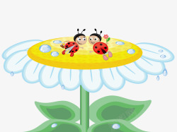 蜜蜂采丝瓜花蜜小蜜蜂采花蜜卡通高清图片