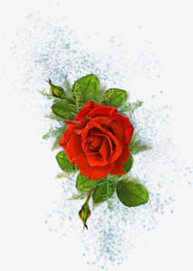 红色玫瑰花花朵漂浮素材