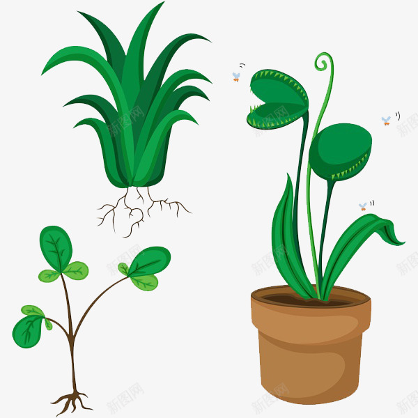 绿色的植物png免抠素材_新图网 https://ixintu.com 卡通 手绘 植物 简笔 绿色的 花盆 蜜蜂 装饰