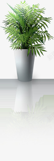 绿色室内摆件植物png免抠素材_新图网 https://ixintu.com 室内 摆件 植物 绿色