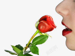 玫瑰美女红唇素材