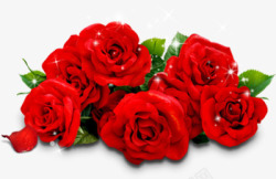 玫瑰花红色花束素材