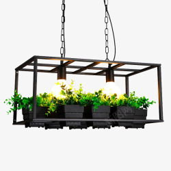铁艺植物花吊灯素材