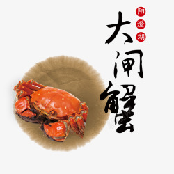 古典大闸蟹素材
