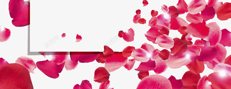 简约玫瑰花展板图png免抠素材_新图网 https://ixintu.com 创意的 情人节展板 玫瑰花 红色的 花瓣 装饰