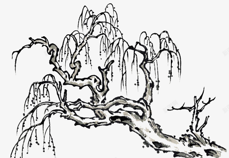 装饰水墨柳树png免抠素材_新图网 https://ixintu.com 柳树 水墨柳树 水墨画免抠 水墨装饰