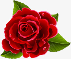 红色手绘玫瑰绿叶素材