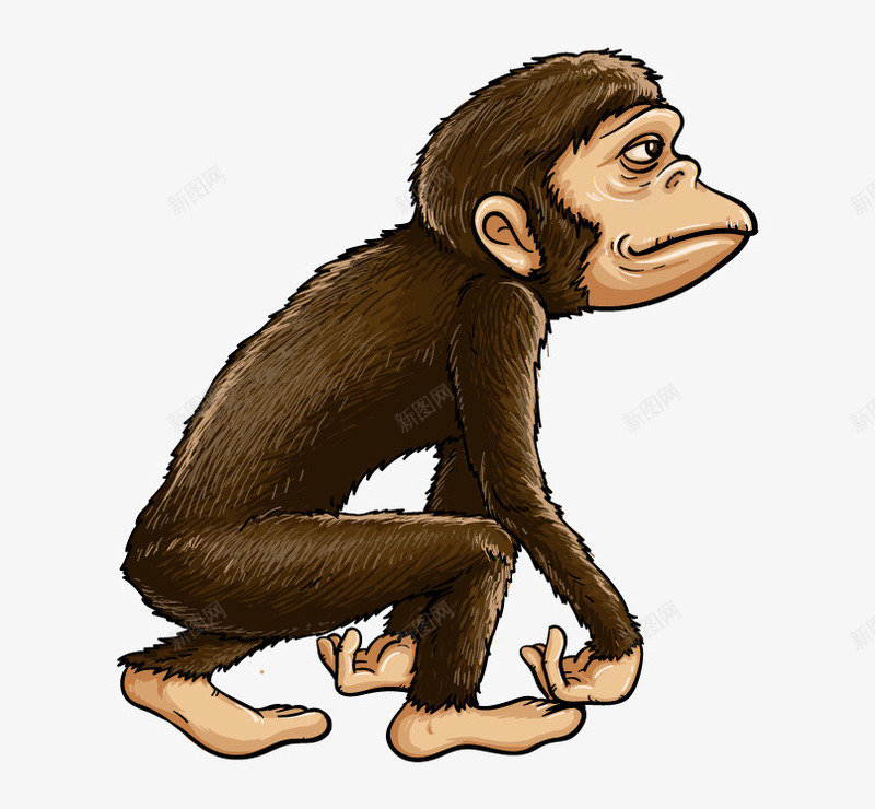 卡通版的小猴子png免抠素材_新图网 https://ixintu.com PNG 动物 卡通 猴子