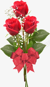 红色玫瑰花植物花朵png免抠素材_新图网 https://ixintu.com 植物 玫瑰花 红色 花朵