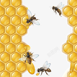 黄色蜂巢和蜜蜂素材