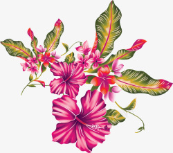 粉色花朵植物风光手绘素材
