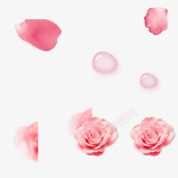 粉色玫瑰花艺术水滴素材