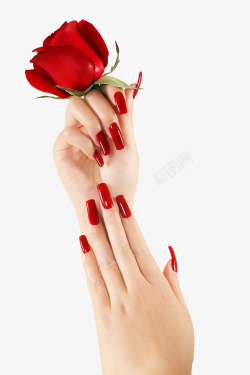芊芊细手拿玫瑰花的细手高清图片