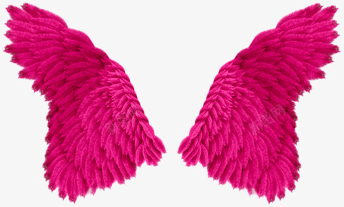 漂亮的粉红色羽毛翅膀png免抠素材_新图网 https://ixintu.com 天使 粉红色 羽毛 翅膀 鸟人